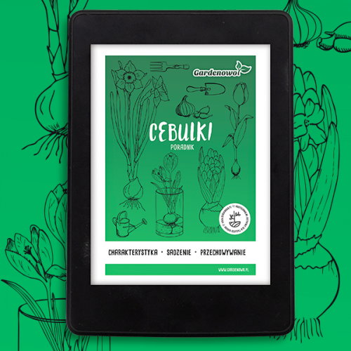 CEBULE KWIATOWE Poradnik Uprawy Cebulek Kwiatowych E-book