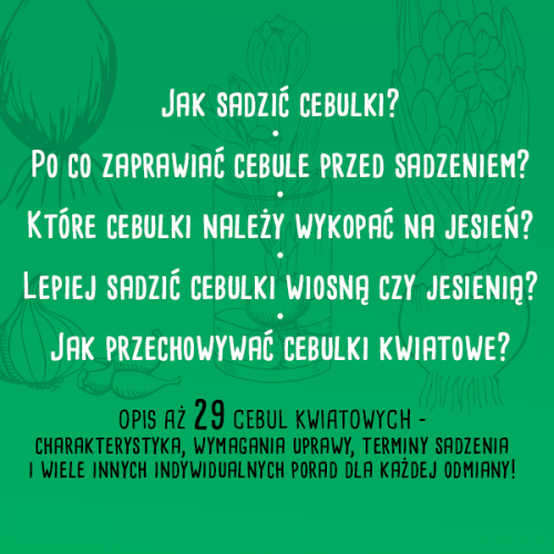 CEBULE KWIATOWE Poradnik Uprawy Cebulek Kwiatowych E-book