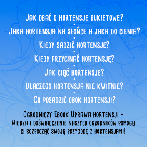 HORTENSJE — Poradnik uprawy hortensji E-book