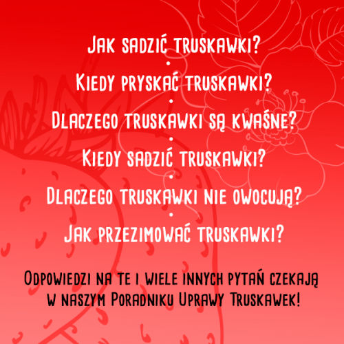 TRUSKAWKI Poradnik Uprawy Truskawek E-book