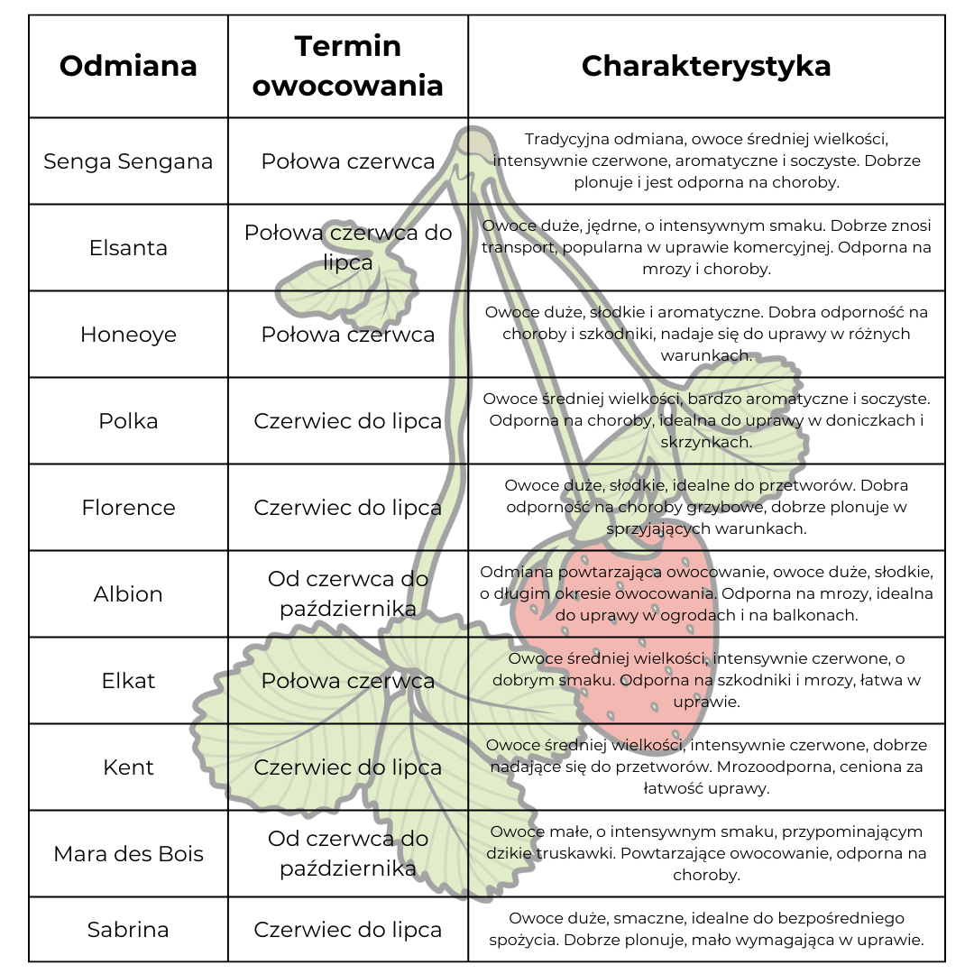 odmiany truskawek tabela truskawki rodzaje 